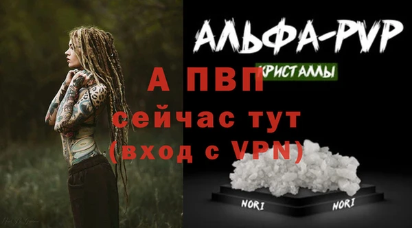 таблы Белокуриха