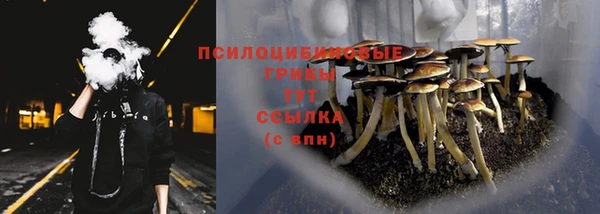ALPHA PVP Белоозёрский