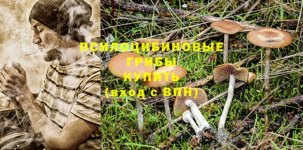 таблы Белокуриха
