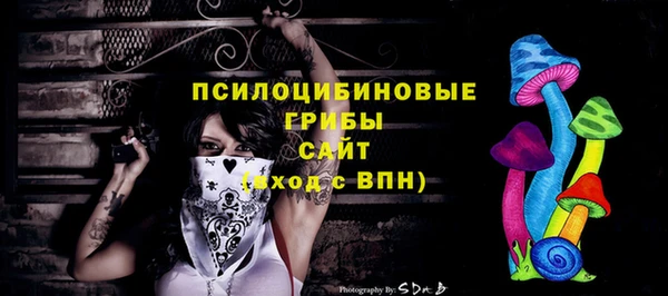 таблы Белокуриха