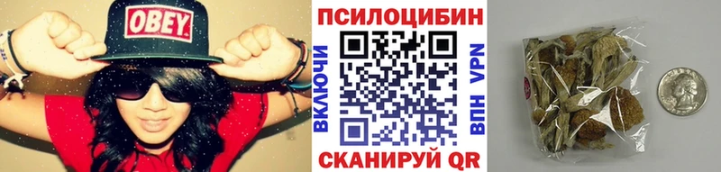 Галлюциногенные грибы мицелий  даркнет сайт  Славгород 