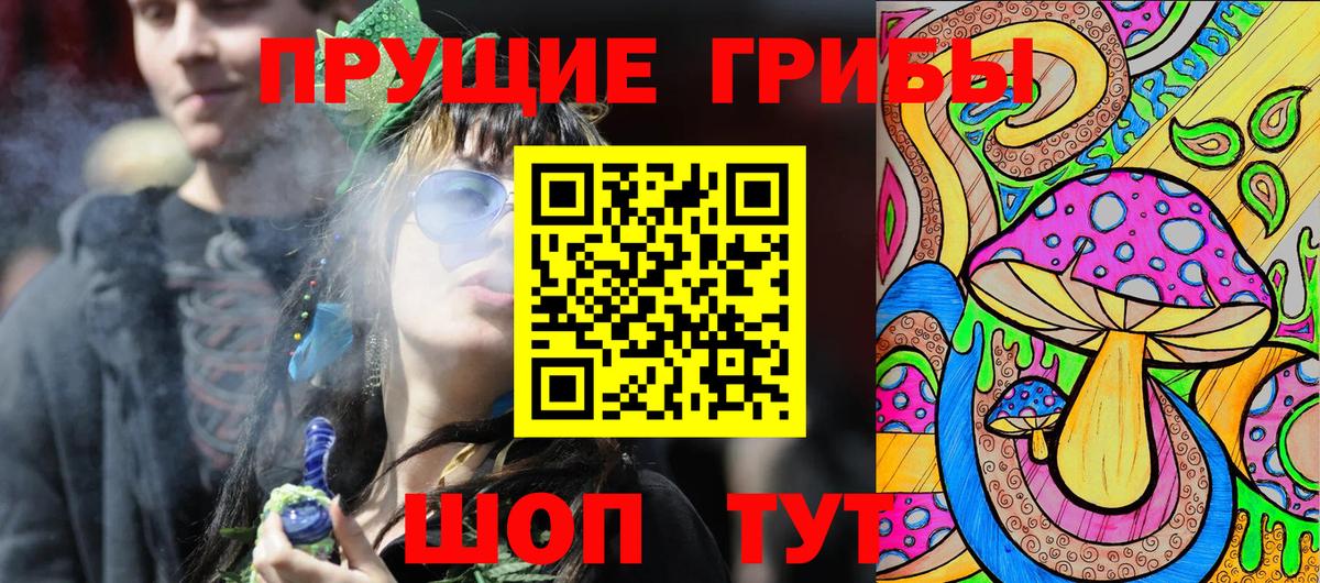 Псилоцибиновые грибы Cubensis  Вход с VPN  Славгород 