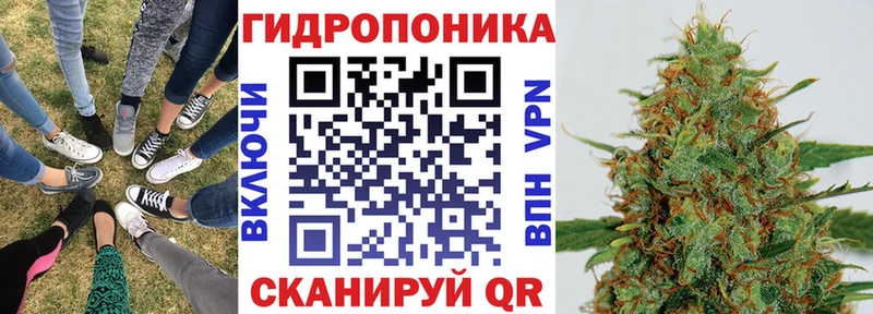 Бошки Шишки MAZAR  Славгород 